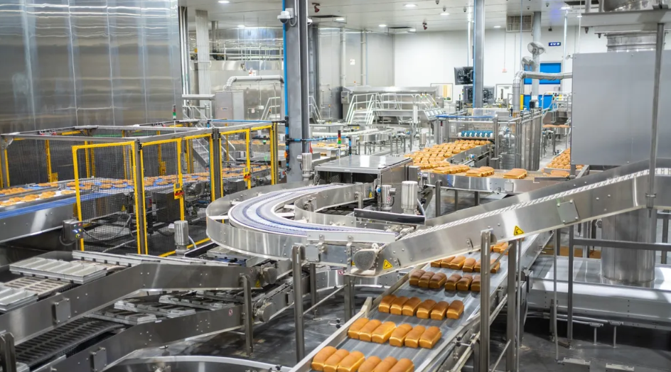 [مشروع نموذجي] - معمل كونسروة وتعبئة آلي متكامل